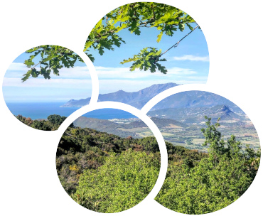 paysage Bien Être et Nature